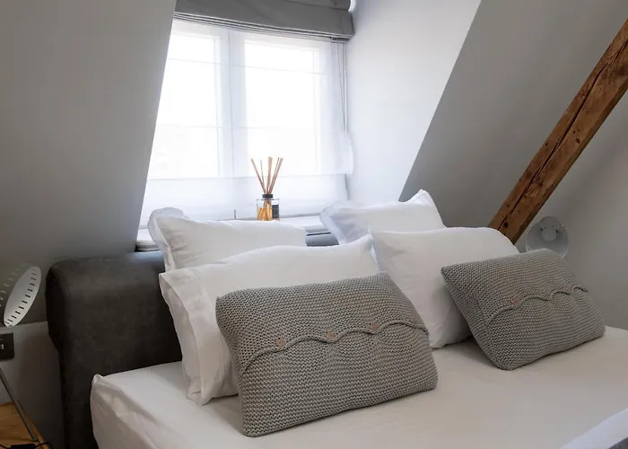 Wilda Nova Apartment